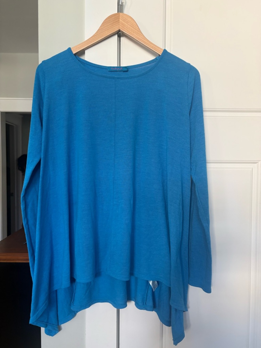 fresh produce Bright Blue Long-Sleeve Swing Top